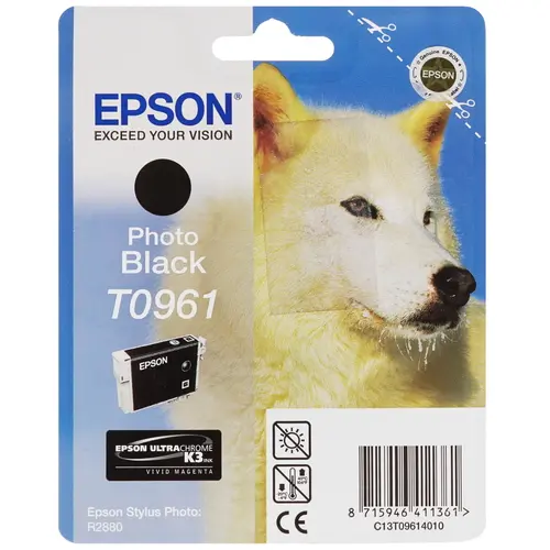 EPSON